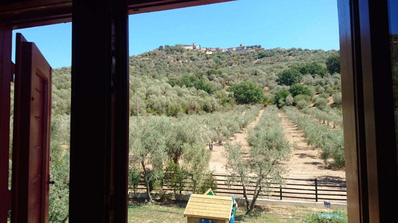 Il Barbagianni Acomodação com café da manhã Montepescali Exterior foto
